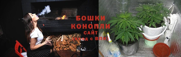 дурь Новодвинск