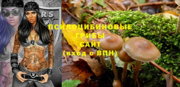 дживик Бугульма