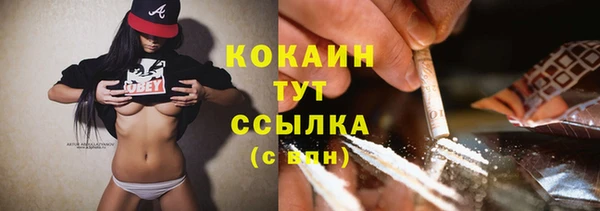тгк Бородино