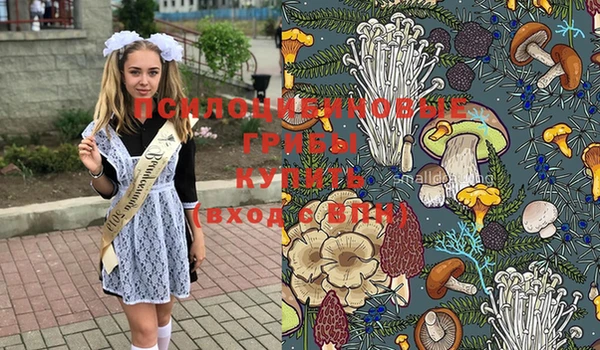 тгк Бородино