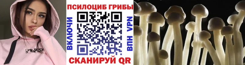 Псилоцибиновые грибы GOLDEN TEACHER  Ноябрьск 